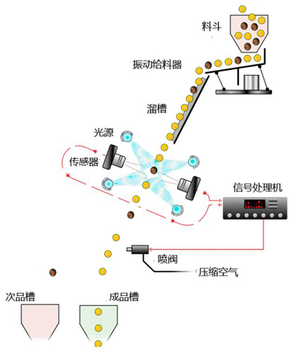 色选机 产品档次分类设备(图2) 色选机